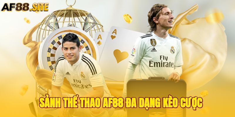 Thể thao AF88 có hàng trăm loại hấp dẫn