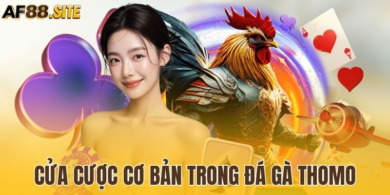 Nắm bắt các cửa cược phổ biến trong chọi gà 