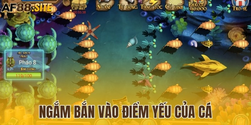 Ngắm bắn vào điểm yếu của cá