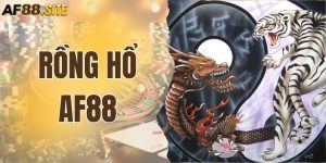 Rồng Hổ AF88 - Cá Cược Thần Tốc, Thắng Nhanh Như Chớp