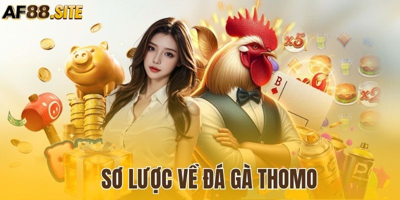 Thông tin tổng quan nhất của đá gà Thomo